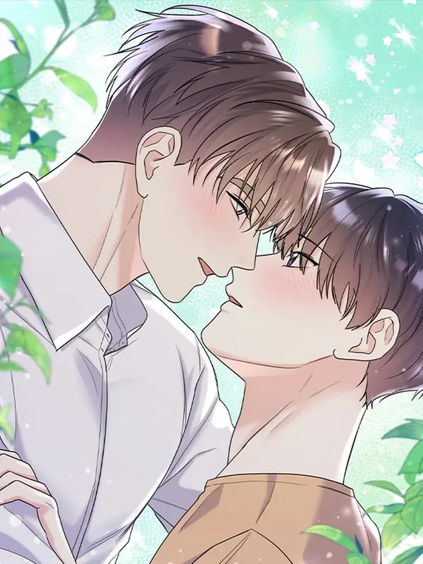 여름눈